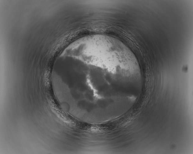 X0000116050641200912111505
