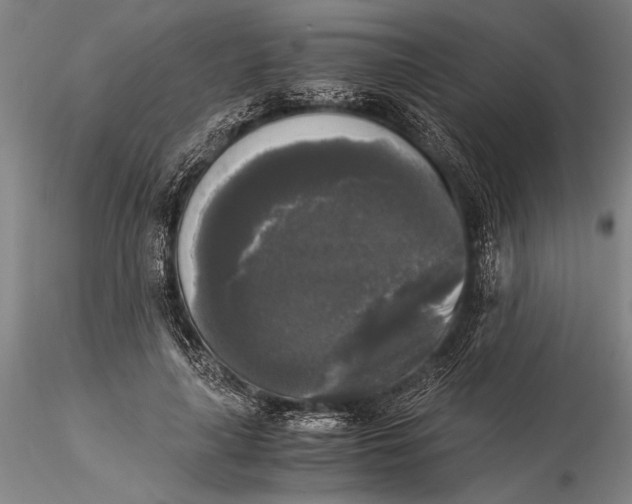 X0000116050643200912111505