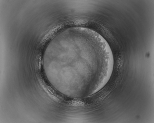 X0000116050644200912111505