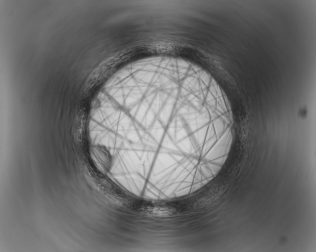 X0000116050645200912111505