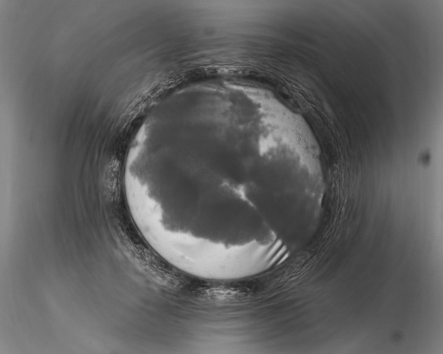 X0000116050650200912111505