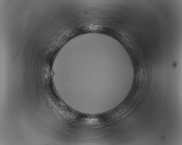 X0000116050651200912111505