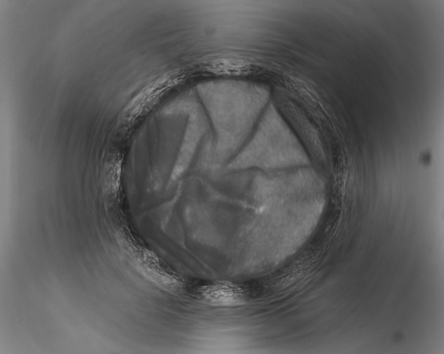 X0000116050652200912111505