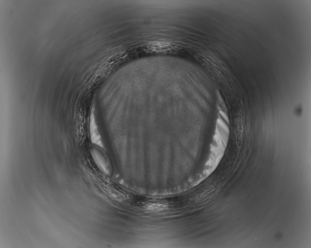 X0000116050653200912111505
