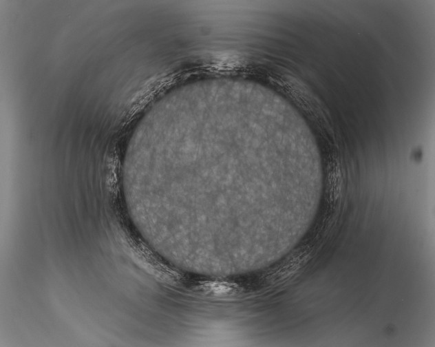X0000116050654200912111505