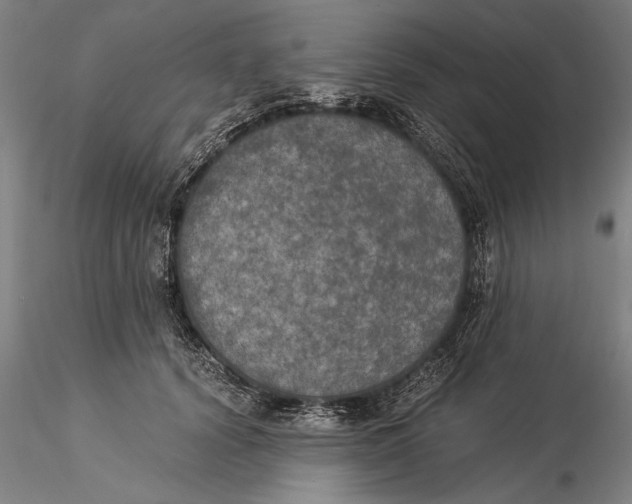 X0000116050656200912111505