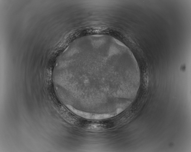 X0000116050657200912111505