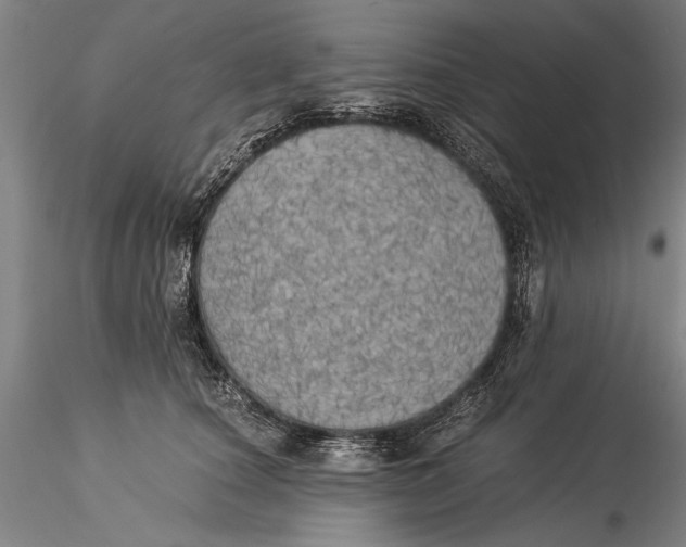 X0000116050660200912111505