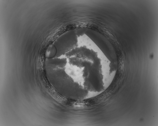 X0000116050661200912111505