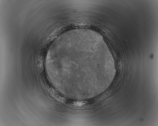 X0000116050662200912111505
