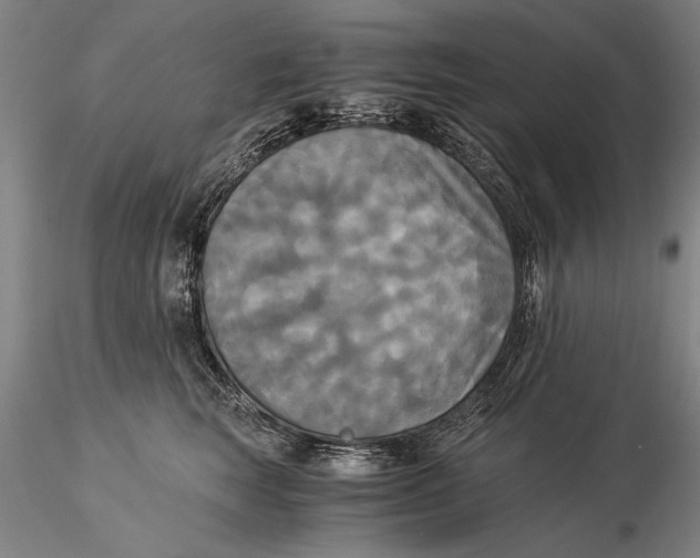 X0000116050663200912111505