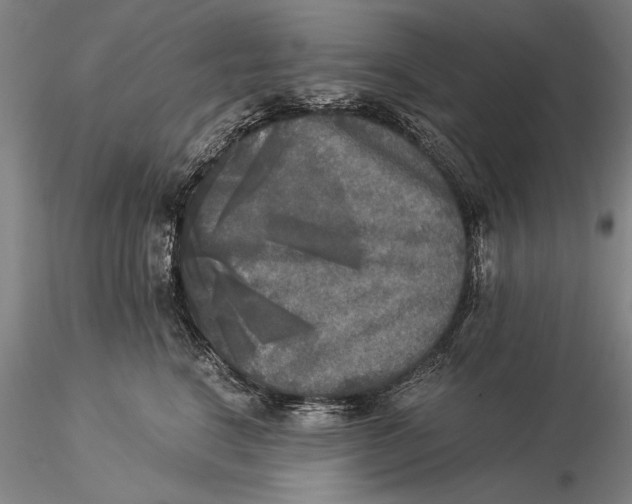 X0000116050664200912111505