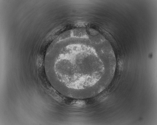 X0000116050665200912111505