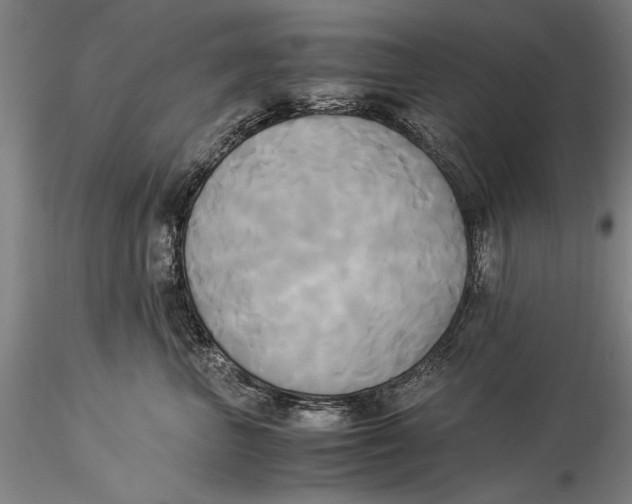 X0000116050667200912111505