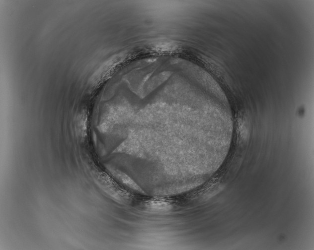 X0000116050668200912111505