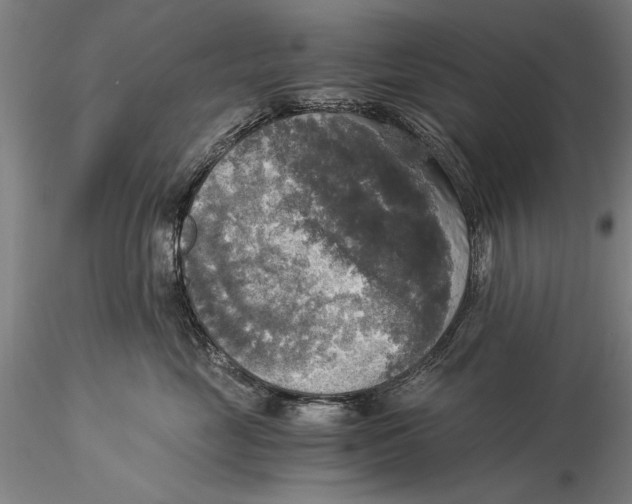 X0000116050669200912111505