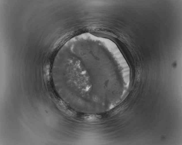 X0000116050670200912111505