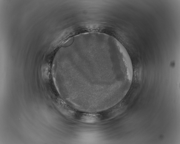 X0000116050671200912111505