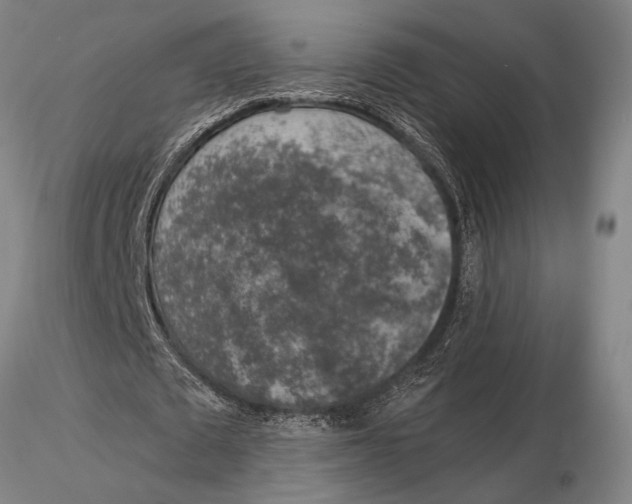 X0000116050673200912111505
