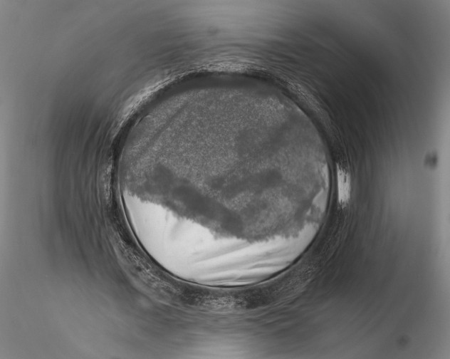 X0000116050675200912111505
