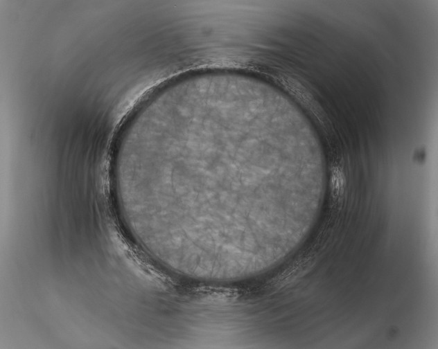 X0000116050676200912111505