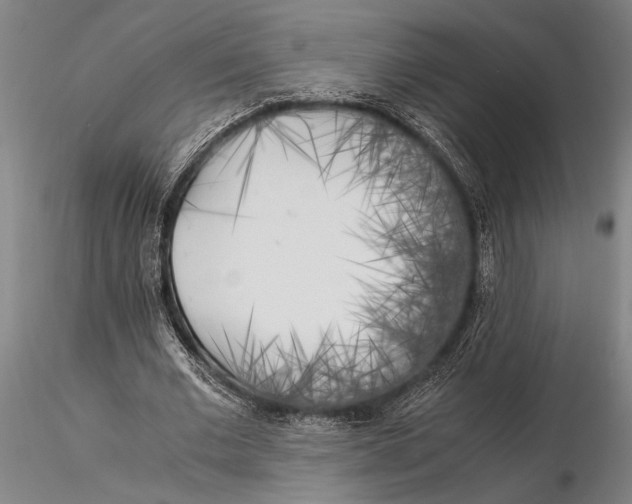 X0000116050677200912111505