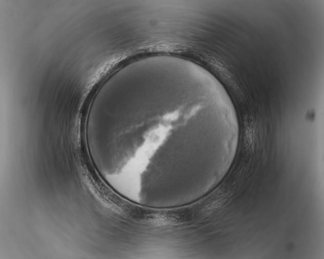 X0000116050678200912111505