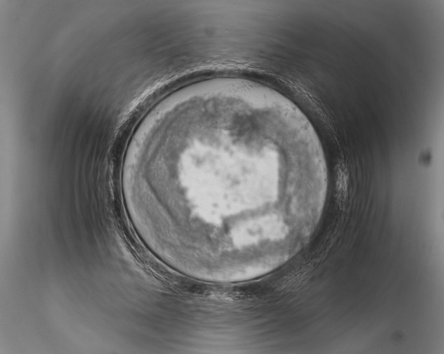X0000116050684200912111505