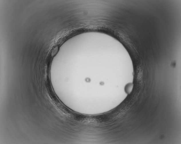 X0000116050685200912111504