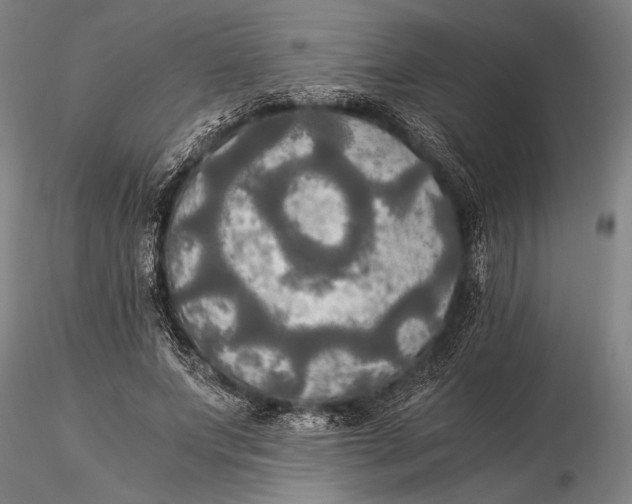 X0000116050687200912111504