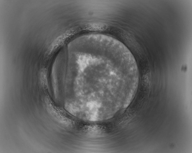 X0000116050688200912111504
