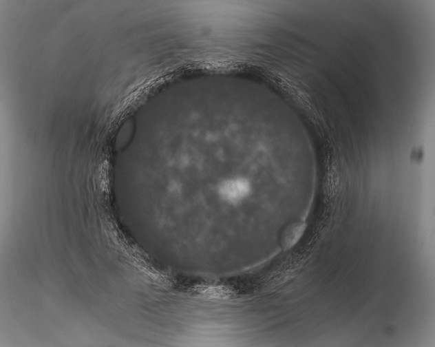 X0000116050689200912111504