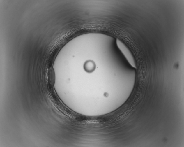 X0000116050692200912111504