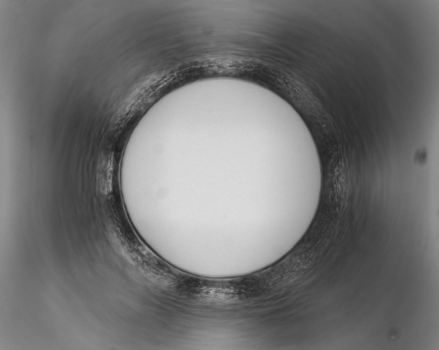 X0000116050694200912111504