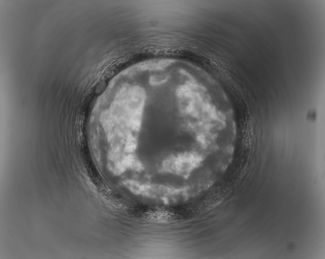 X0000116050695200912111504