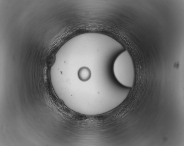 X0000116050696200912111504