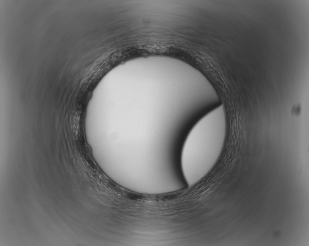 X0000116050697200912111504