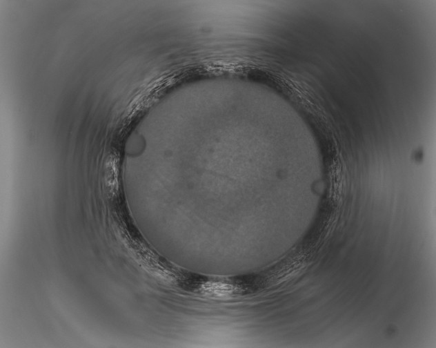 X0000116050699200912111504