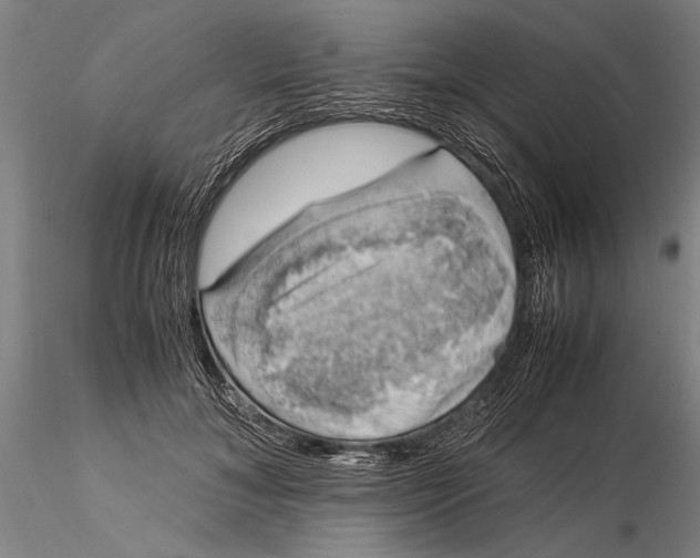 X0000116050700200912111504