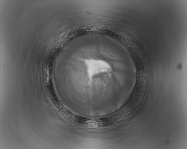 X0000116050703200912111504