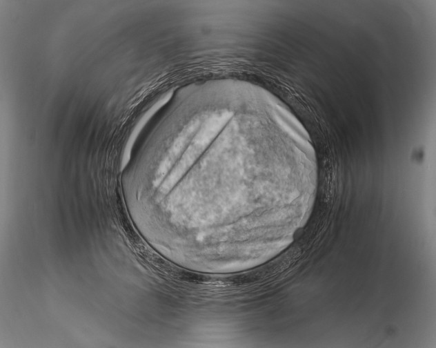 X0000116050704200912111504