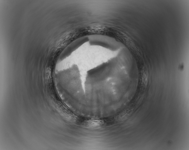 X0000116050711200912111504