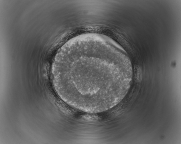 X0000116050712200912111504