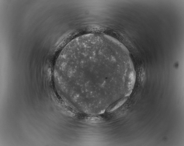X0000116050716200912111504