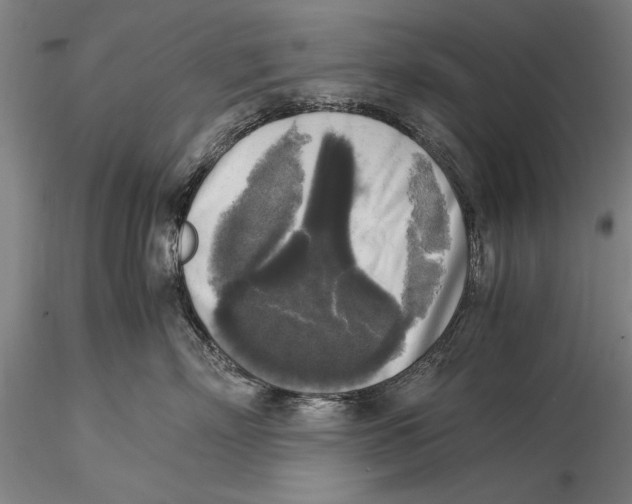 X0000116050718200912111504