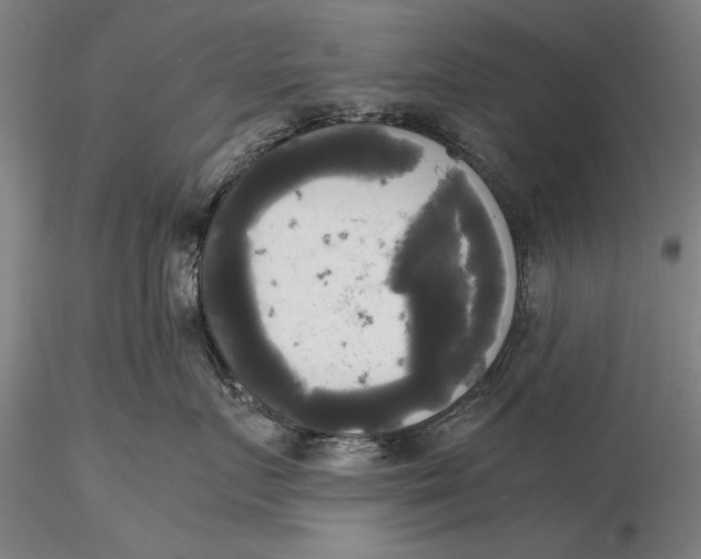 X0000116050719200912111504