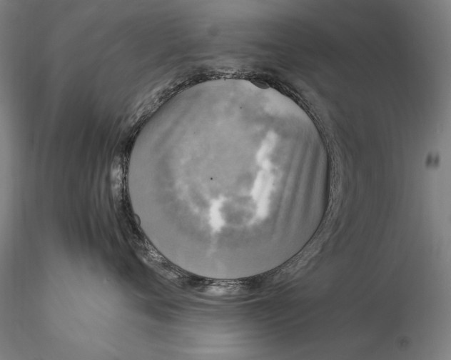 X0000116050720200912111504