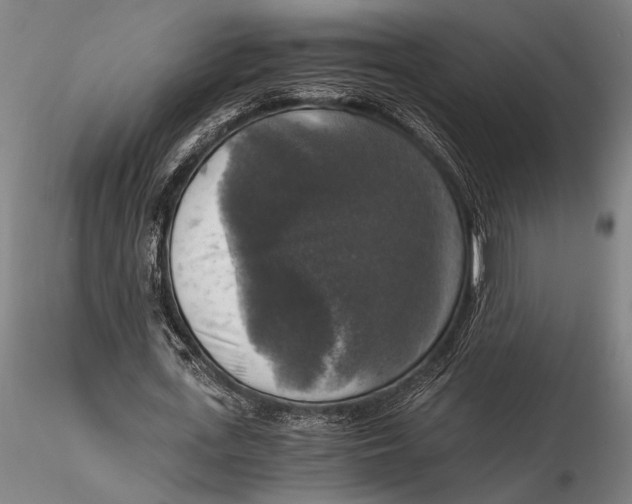 X0000116050723200912111503