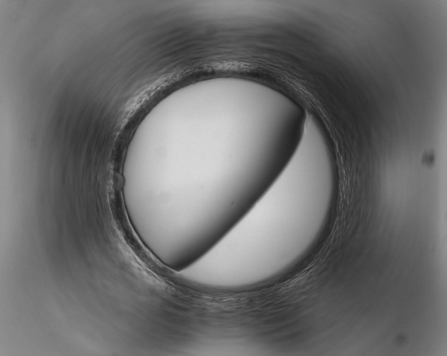 X0000116050725200912111503