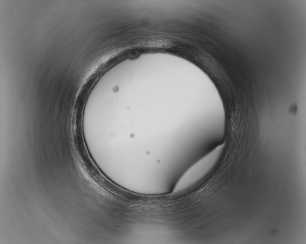 X0000116050726200912111503